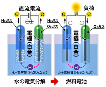 水の電気分解と発電の仕組み